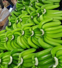 Fresh Cavendish G9 Banana - Image 3